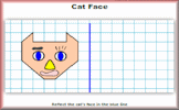 Cat Face Reflections