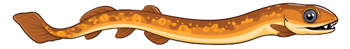 Lamprey