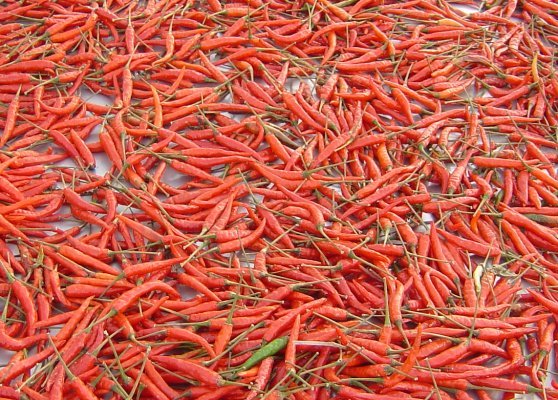 Chillies