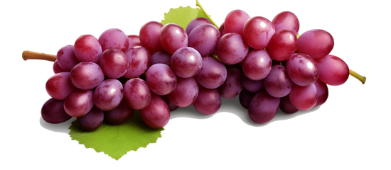 Grapes